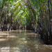 kleine Bootstour im Mekongdelta (© Buelipix)