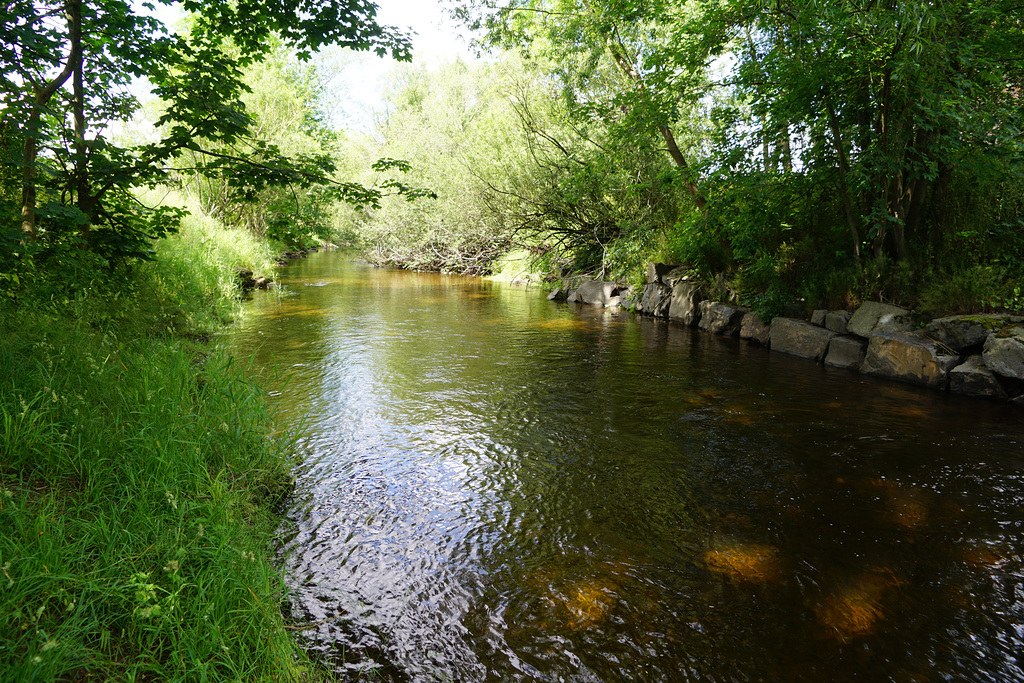 Es ist wieder Wasser in der Sieber II