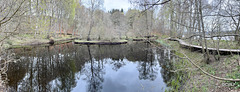 Small lochan near the Loch Insh water sports centre