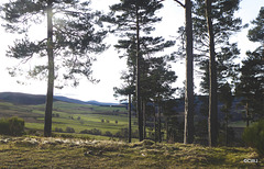 The Spey Valley from the Speyside Way