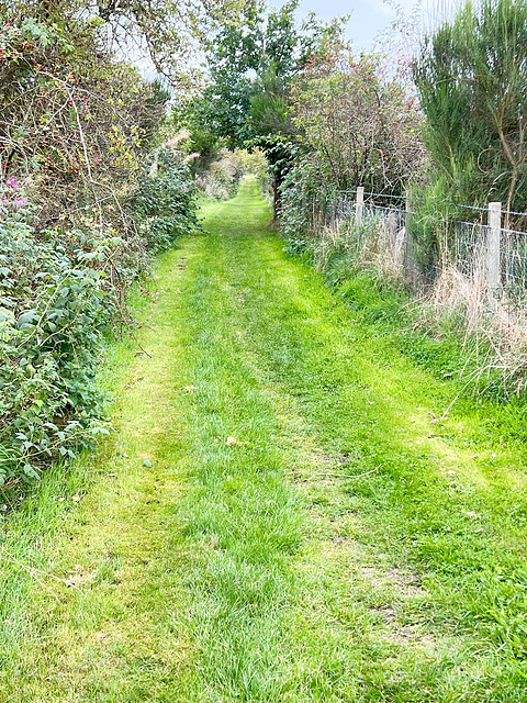 Track maintenance keeps it clear for our walkers