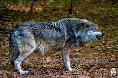 bystudiomt.de-12bystudiomt.de