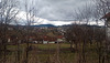 Two winter (?!) landscape