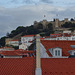 rooftops, castle