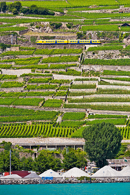 110715 train-des-vignes