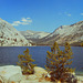 Tenaya Lake 1980 (045°)