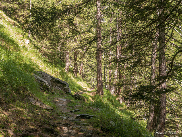 Cardinello Schlucht