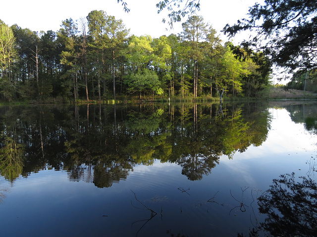 A very calm morning