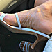 close up ann taylor heels (F)