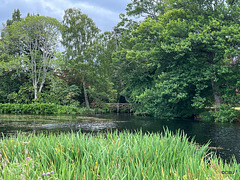 The Lochan at Altyre House