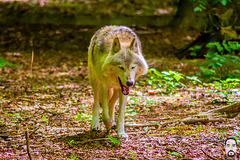 bystudiomt.de-01bystudiomt.de