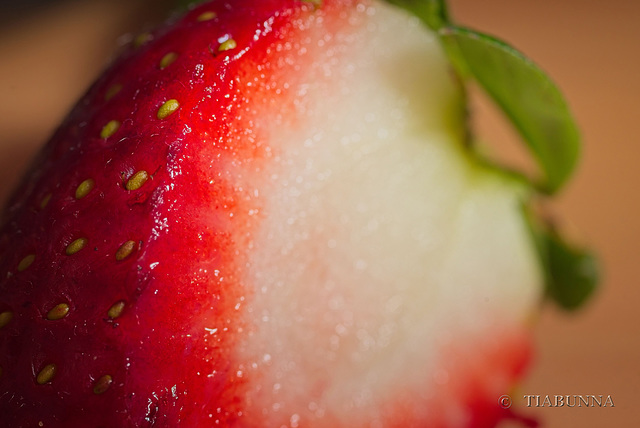 Macro strawberry