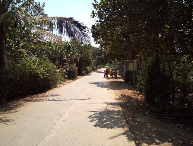 Piste cambodgienne / Cambodian path