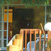 2009 February 19 - Mondrian fence cat