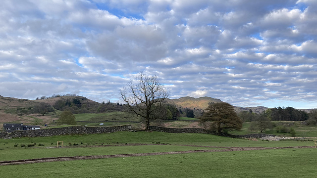 Loughrigg Fell