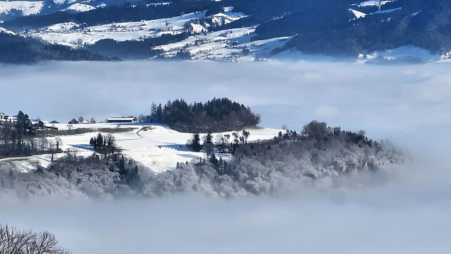 Bütschelegg,  1'050 m