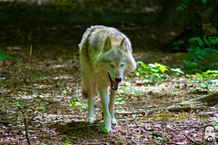 bystudiomt.de-02bystudiomt.de