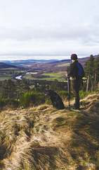 The Spey Valley from the Speyside Way