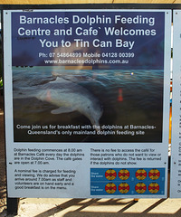 Dolphin notice 0PA023434