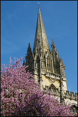 church blossom