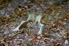 bystudiomt.de-03bystudiomt.de