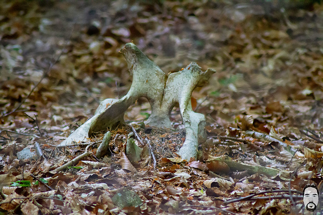 bystudiomt.de-03bystudiomt.de bystudiomt.de-03bystudiomt.de