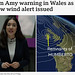wst[25] - Storm Amy due 1st October 2025