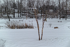 Island Park, Eaton Rapids