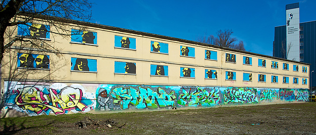 Cité Vieusseux façade sud le 03.03.2015