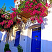 The typical colour scheme of Bodrum