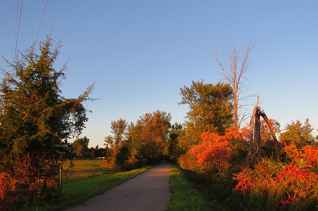 Polly Ann Trail