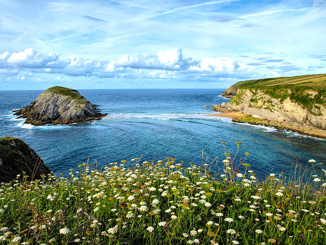 La isla del Castro desde Covachos. Cantabria.