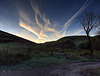 Contrails at dawn