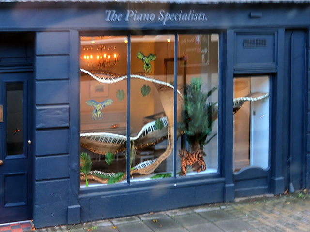 The Piano Specialists
