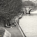 Rive de la Seine