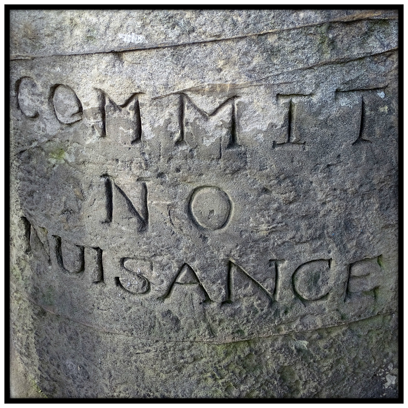 Commit no nuisance