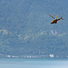 220909 Montreux helico armee 1