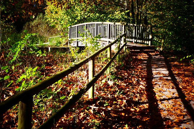 HFF vom Schleusenweg an der Alster