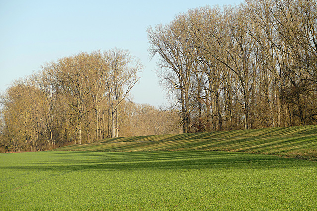 Landschaft am Rhein