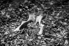 bystudiomt.de-04bystudiomt.de