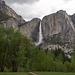 Yosemite Valley - Yosemite Falls  (#0557)