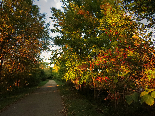 Polly Ann Trail