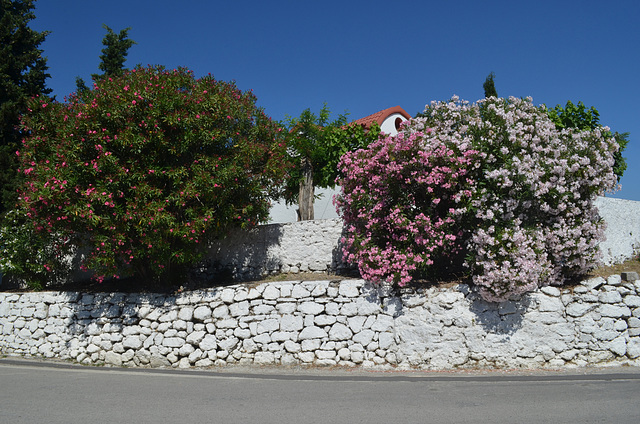 Rhodes, The Monastery of Kalopetras