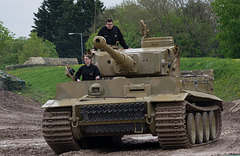 Tiger Tank (1)