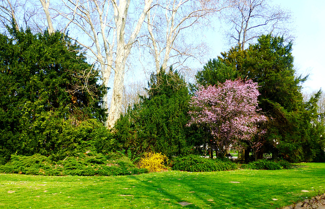 DE - Bad Neuenahr - Springtime