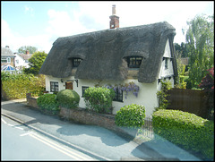 wisterious thatched cottage