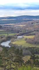 The Spey Valley from the Speyside Way