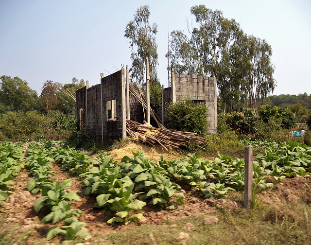 Agricultural ruin / Ruine et agriculture