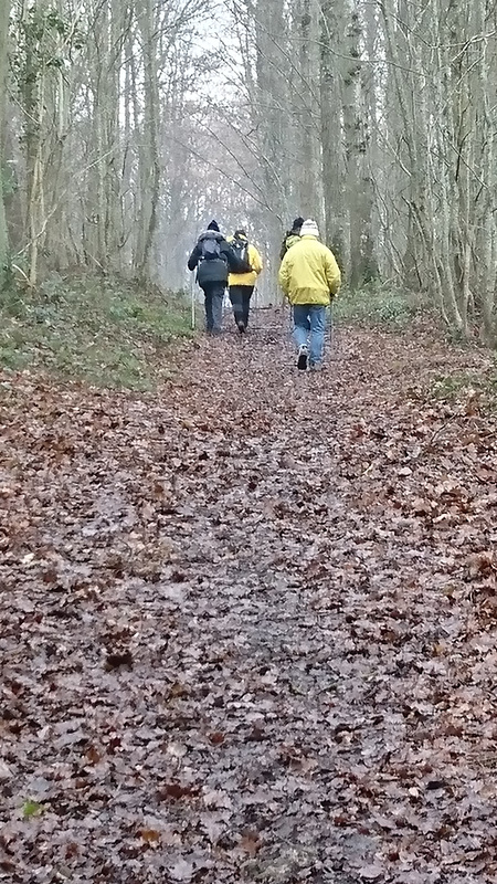 Marche nordique à Saint Méry 15/01/2017