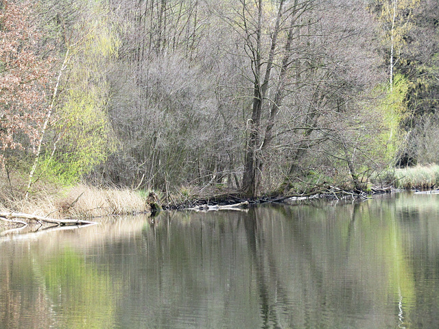 Weihergebiet Teublitz